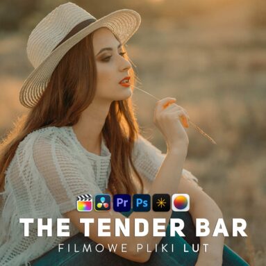 the tender bar pliki LUT Photomator Luminar Neo